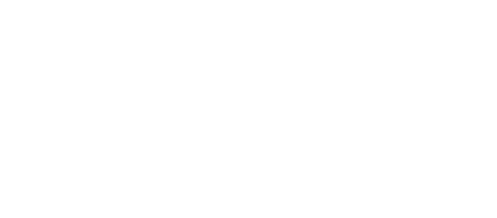 EMS Spirits Logo